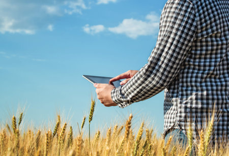Businessman is on a field of ripe wheat and is holding a Tablet computer. The concept of the agricultural business.の写真素材
