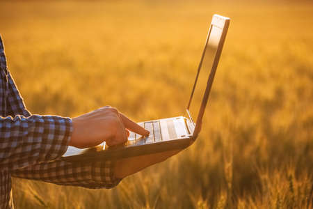 Businessman is on a field of ripe wheat and holds a laptop in his hands. The concept of the agricultural business.の写真素材