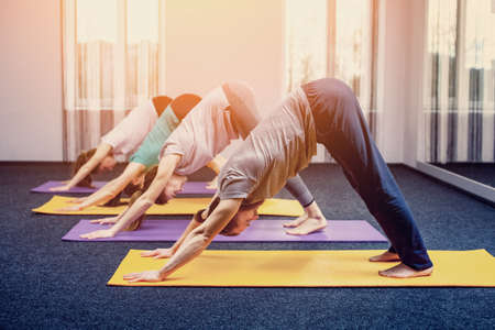 Three beautiful girls and man do yoga in the center of yoga and spa. The concept of a healthy lifestyle.の写真素材