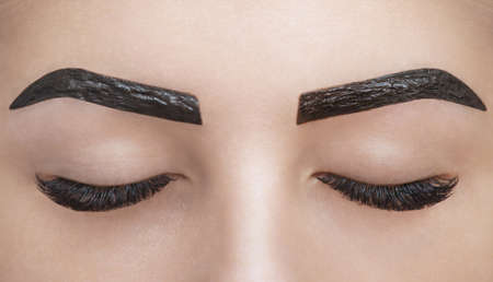 makeup artist applies paint henna on eyebrows in a beauty salon. Professional care for face.の写真素材