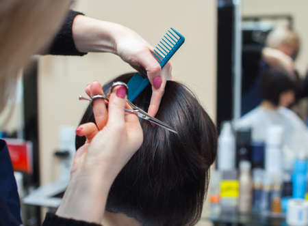 The hairdresser does a haircut with hot scissors of hair to a young girl, a brunette in a beauty salon.の写真素材