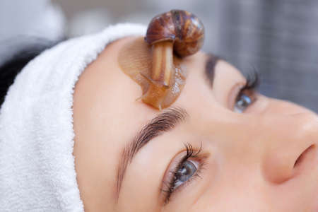 Cosmetological procedure. Beautiful young woman with a snail ahatin on her face in a beauty salon.の写真素材