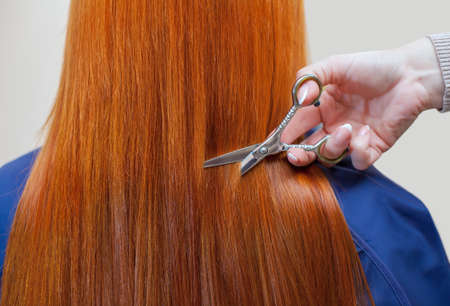 The hairdresser does a haircut with scissors of hair to a young with red hair girl in a beauty salon.の写真素材