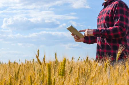 Businessman is on a field of ripe wheat and is holding a Tablet computer. The concept of the agricultural business.の写真素材