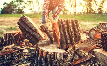Male Lumberjack in the black-and-red plaid shirt with an ax chopping a tree in the forest.の写真素材
