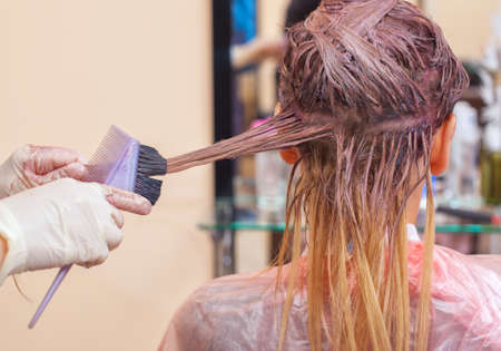 The hairdresser paints the woman's hair in white, apply the paint to her hair in the beauty salon.の写真素材