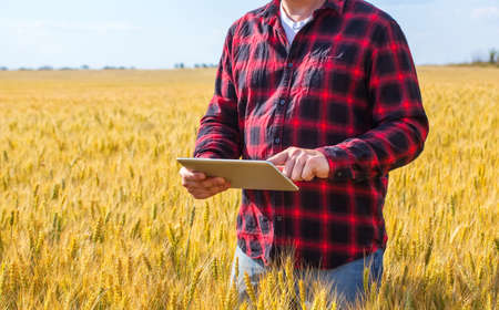 Businessman is on a field of ripe wheat and is holding a Tablet computer. The concept of the agricultural business.の写真素材