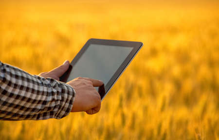 Businessman is on a field of ripe wheat and is holding a Tablet computer. The concept of the agricultural business.の写真素材