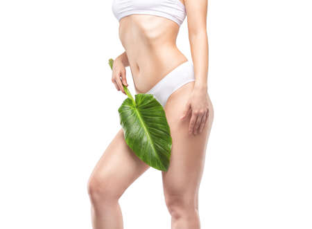 A slender woman holds a green leaf. The concept of proper nutrition and a healthy lifestyle.の写真素材