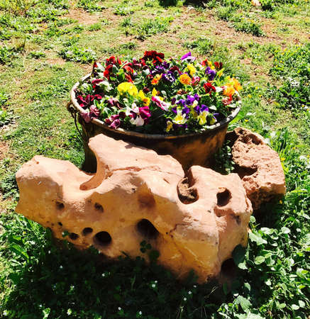 Spring flowersの素材