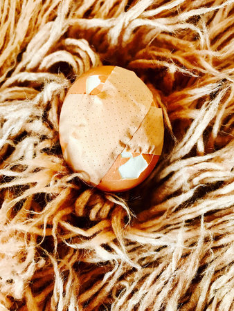 Egg in painの素材