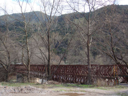 A bridge in a forestの素材