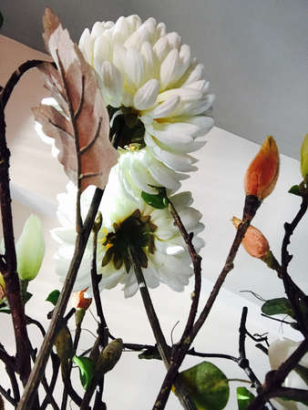 Plastic flowersの素材