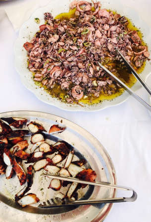 Octopus and squidsの素材