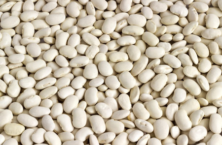 White beans backgrounds