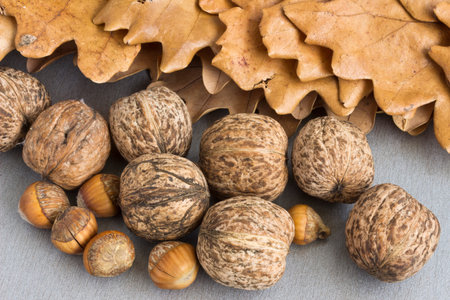 Walnuts and hazelnuts in shell