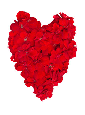 Heart of flowers ,shape on white backgroundの写真素材