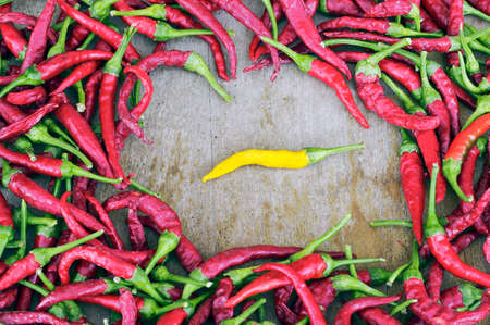 One yellow peppers in the crowd red. Difference conceptの写真素材