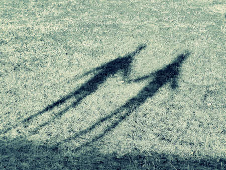 The shadow of two people holding hands on a grassy surfaceの写真素材