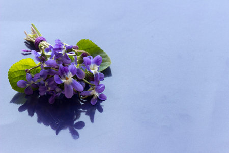 Bouquet of violets flowers