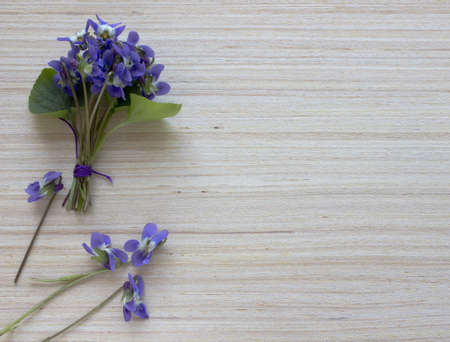 Bouquet of violets on the wooden backgroundの写真素材