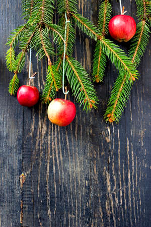 Christmas still life with apples and fir tree branchの写真素材