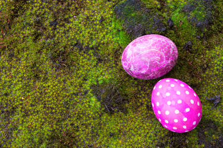 Directly above shot of Easter eggs on mossの写真素材
