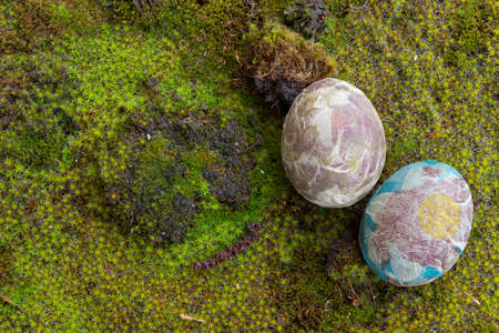 Easter eggs  laid on moss, overhead viewの写真素材