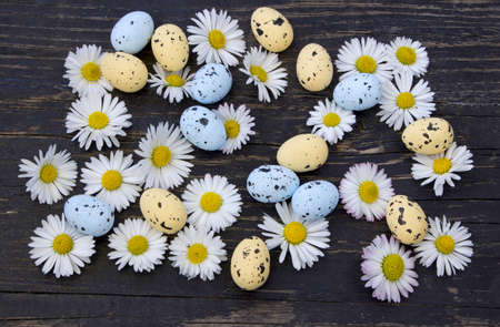 Easter background with Easter eggs and daisy flowersの写真素材