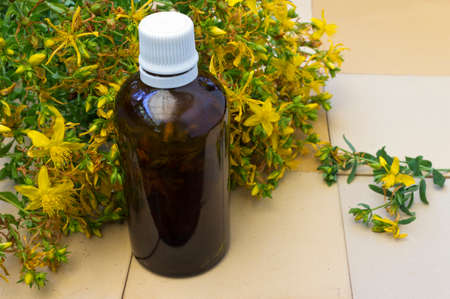 oil bottle and fresh flowerの写真素材