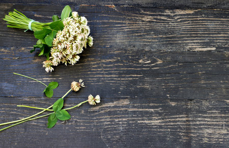  Bouquet of white clover flower on a wooden backgroundの写真素材