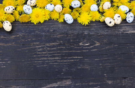 Colorful Easter eggs upper edge over dark wooden backgroundの写真素材