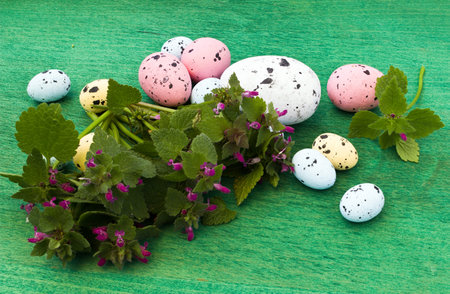 Easter eggs  and  wild  flowers  on green wooden backgroundの写真素材