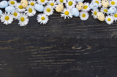 Easter eggs and daisies on dark wooden backgroundの写真素材