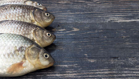 Freshly caught carp on wooden table  の写真素材
