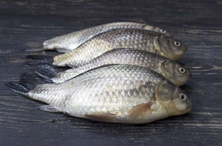Freshly caught carp on wooden table  の写真素材