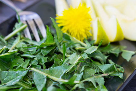 Dandelion salad with green applesの写真素材