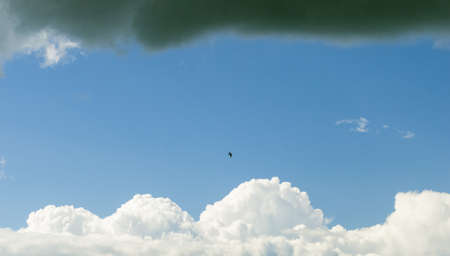 Storm clouds go away, leaving a clear sky full of hope with a lonely bird on itの写真素材