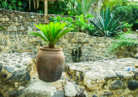 MAGDALA, ISRAEL -MAY 3: Ancient pitcher with palm on the monastery Mary Magdalene May 3, 2016 in...