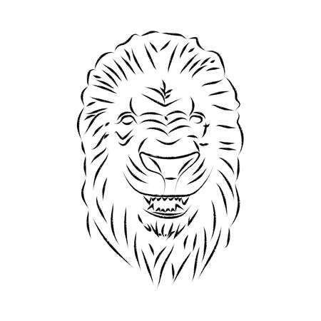 Lion head, statue. Vector antique logo. Ancient greek or roman style elements. Contour lion head with mane isolated on white background. Hand drawing of lion's head in antique style. Line artのイラスト素材