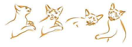 Set of contour illustrations of domestic red cat in different poses. Silhouette of cat isolated on white background. Animal care, welfare and protection concept. Sketchのイラスト素材
