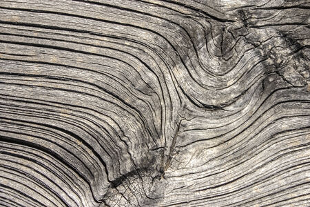 Old wood texture, cut a wooden boardの写真素材