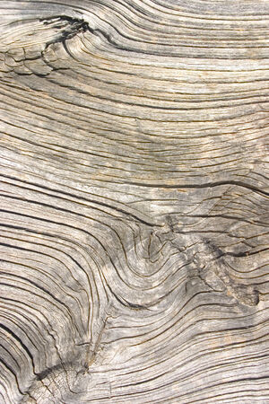 Old wood texture, cut a wooden boardの写真素材