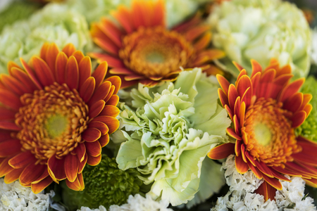 Collection of beautiful colorful flowersの写真素材