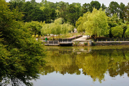 Beautiful lake in a botanical garden