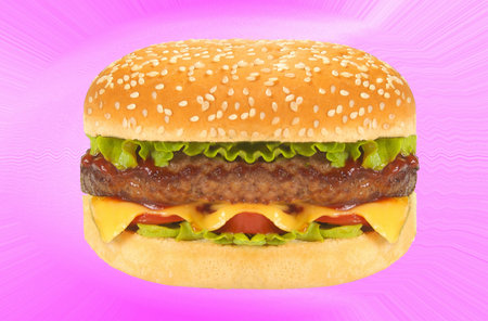 hamburger sandwichの写真素材