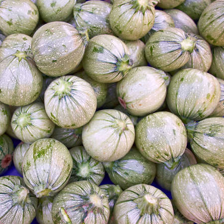 fresh  ball  zucchini closeup, natural backgroundの写真素材