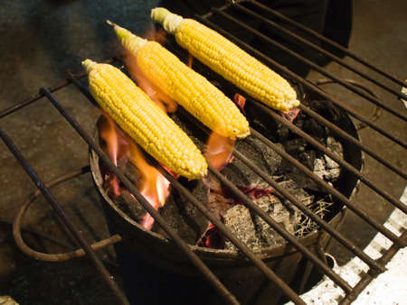 Row of grilled corn cobsの写真素材