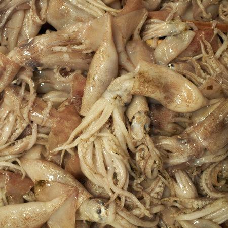 squids closeup at the local market