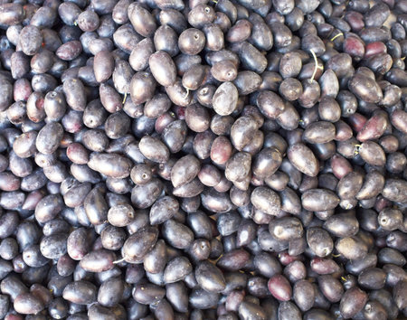 earth treasures, black raw olives closeup の写真素材